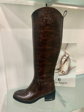 Carica l&#39;immagine nel visualizzatore di Gallery, Cavallerizzo cocco LB - RITA CAPPELLI -DOMINIQUE-
